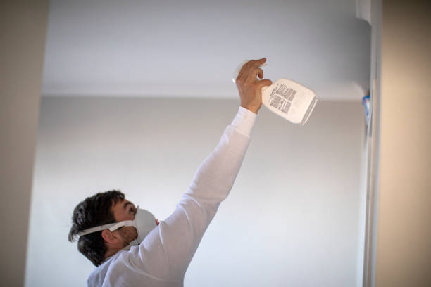 Best Fast Mold Removal  in Venetian Vlage, IL