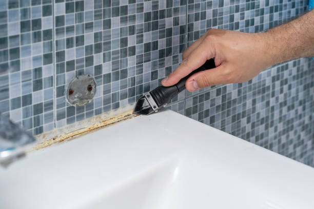 Certified Mold Removal in Venetian Village, IL