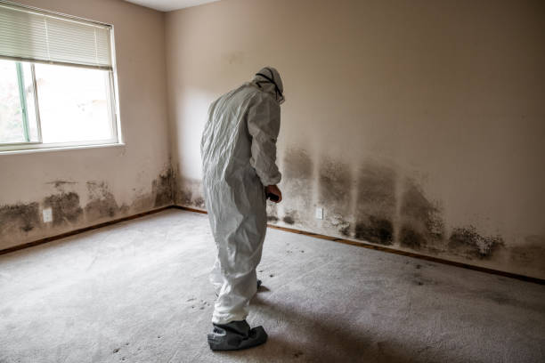 Best Crawl Space Mold Removal  in Venetian Vlage, IL